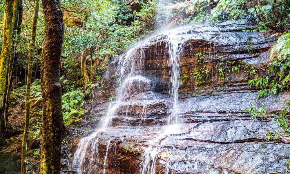 Private Blue Mountains Full Day Tour with Transfers