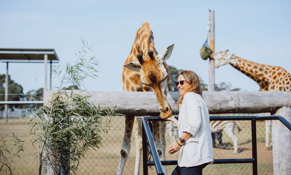 Hunter Valley Wildlife Sunrise Breakfast