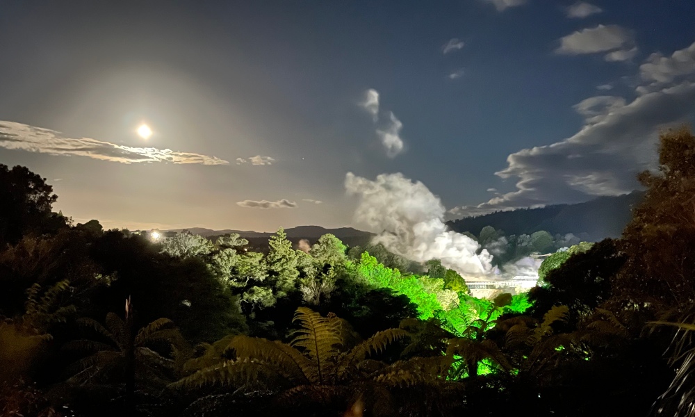 Rotorua Geyser by Night Walking Tour at Te Puia - 90 Minutes