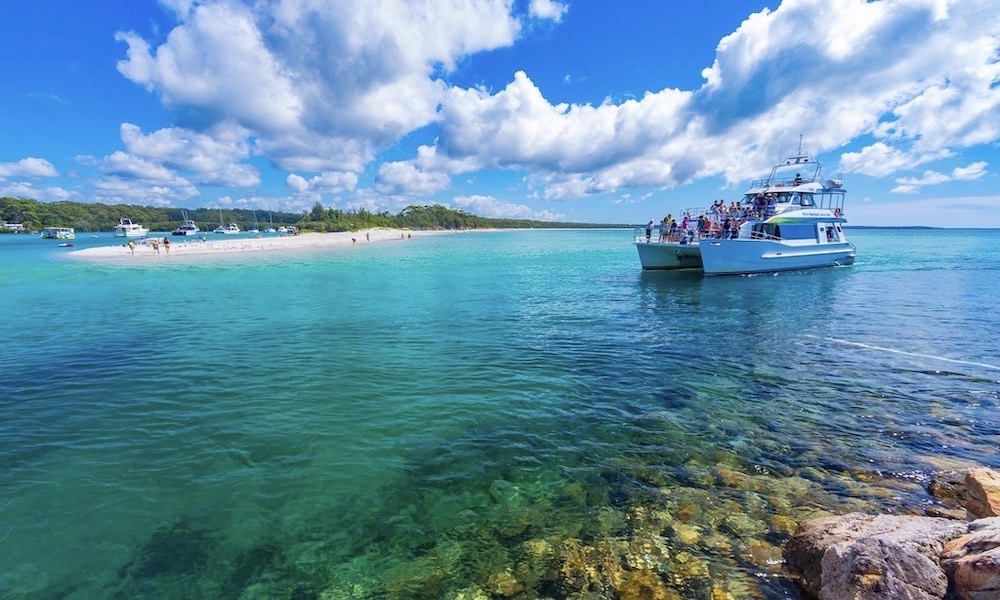 Jervis Bay Dolphin Watching Cruise - 10:30am Dolphin Eco Tour