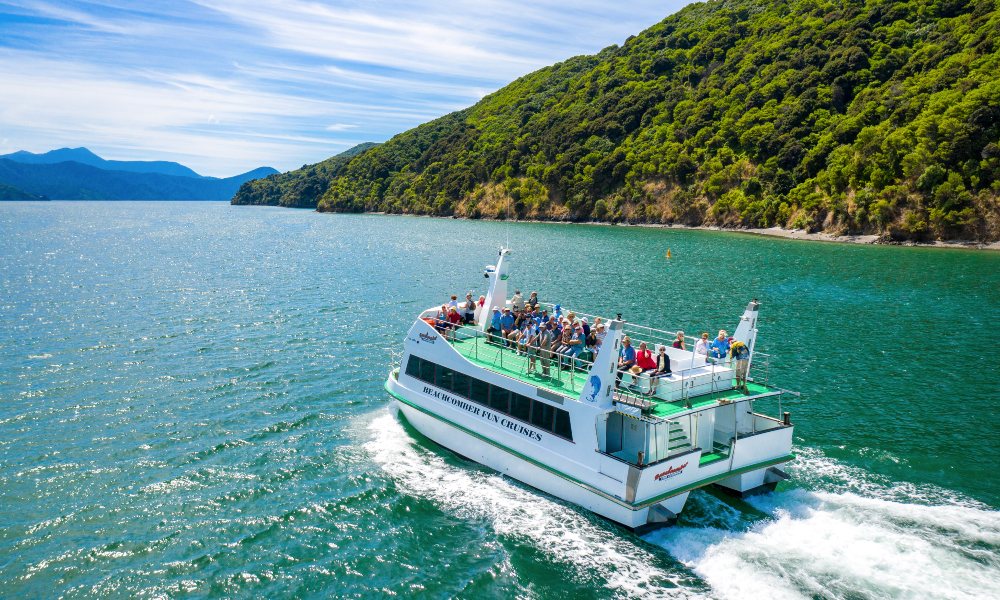 Motuara Island Bird Watchers Cruise