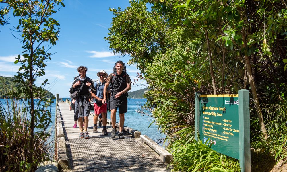 Picton Cruise and Day Walk from Ship Cove to Furneaux Lodge