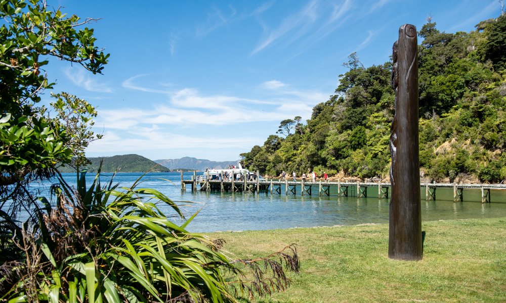 Queen Charlotte Sound Cruise from Picton to Ship Cove