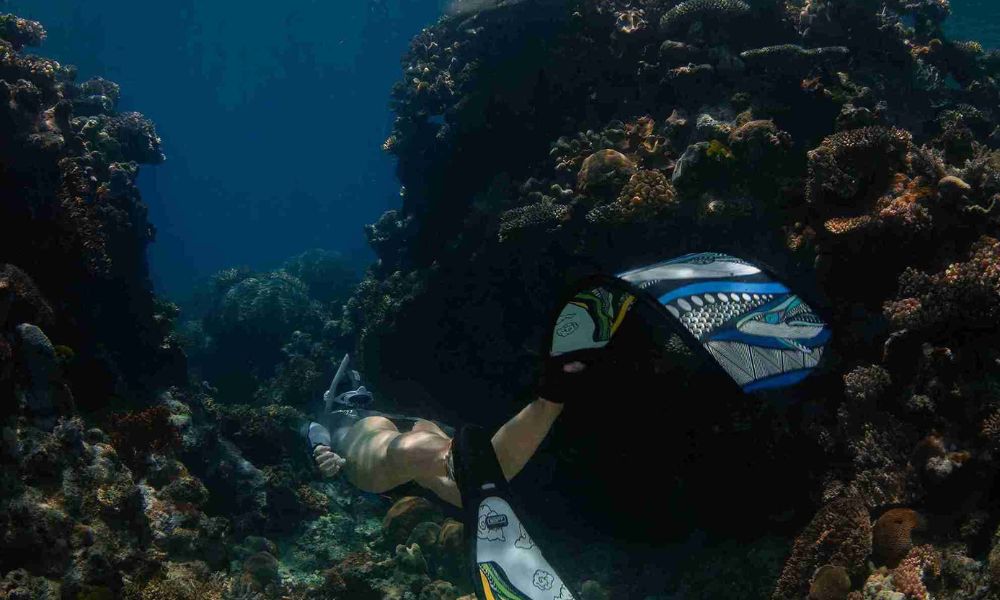 Freedive the Great Barrier Reef