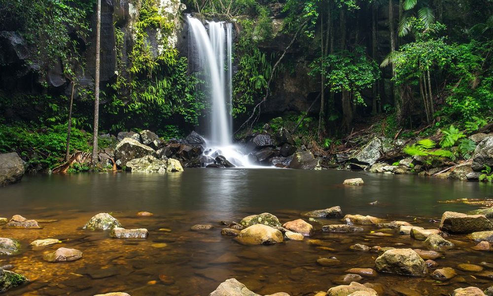 Mystery Picnic in Mount Tamborine