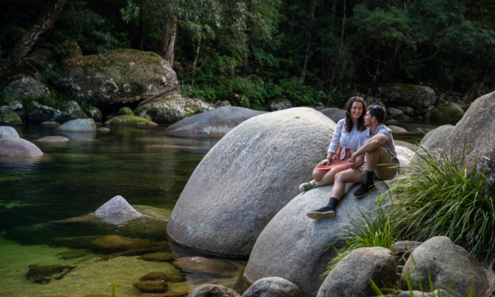 Southern Daintree Explorer Half Day Tour