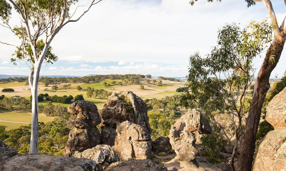 Mystery Picnic in the Macedon Ranges