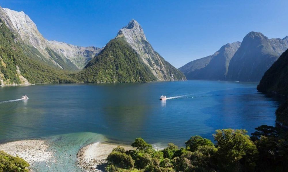 Milford Sound Nature Cruise Afternoon Departure - Southern Discoveries