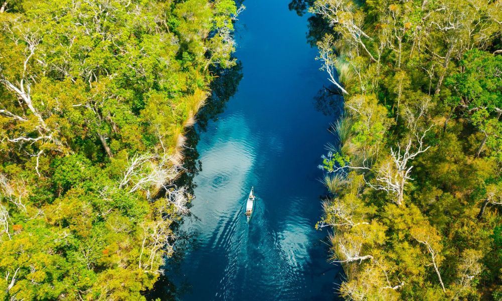 Tasty Noosa Everglades Stillwater Cruise - 5 Hours