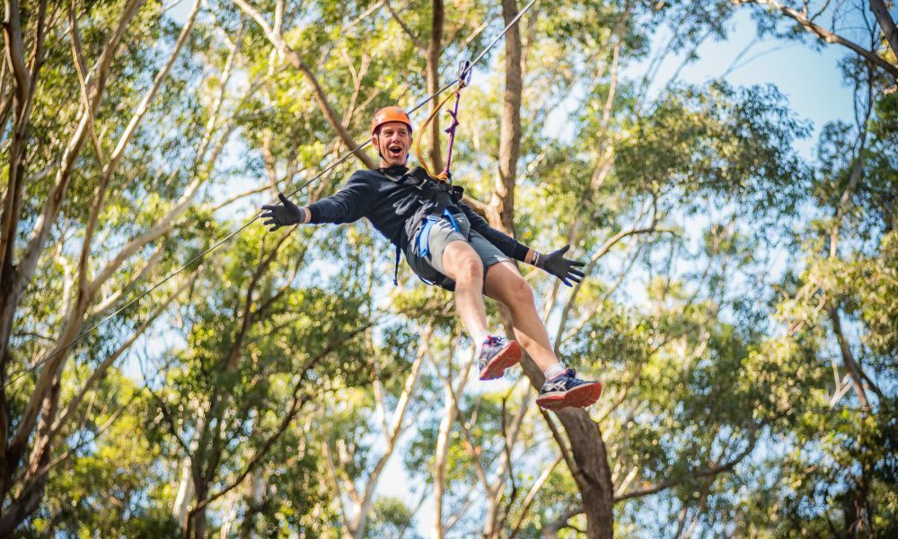 Treetops Adventure Canberra - 2.5 Hours