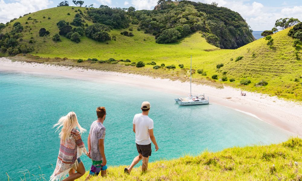 Bay of Islands Sailing Day Cruise - 6 Hours 