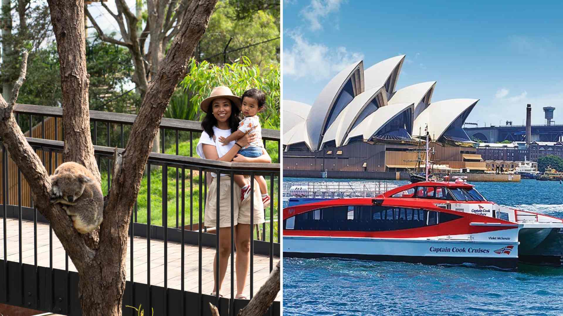 Taronga Zoo Entry and Return Ferry Combo