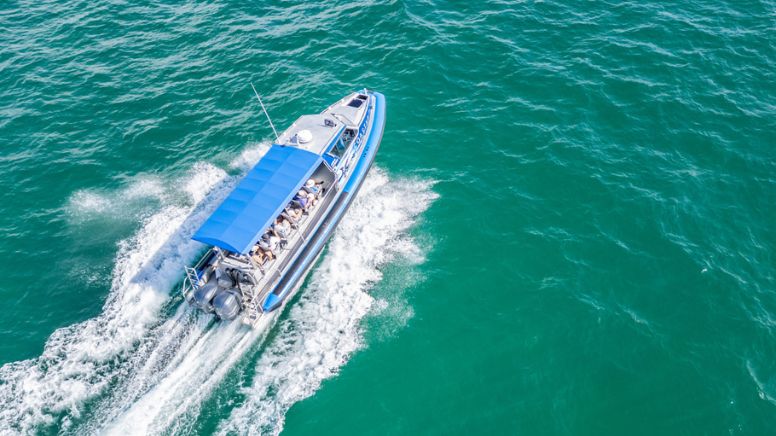 Lake Macquarie Ocean Explorer Tour - 75 Minutes 