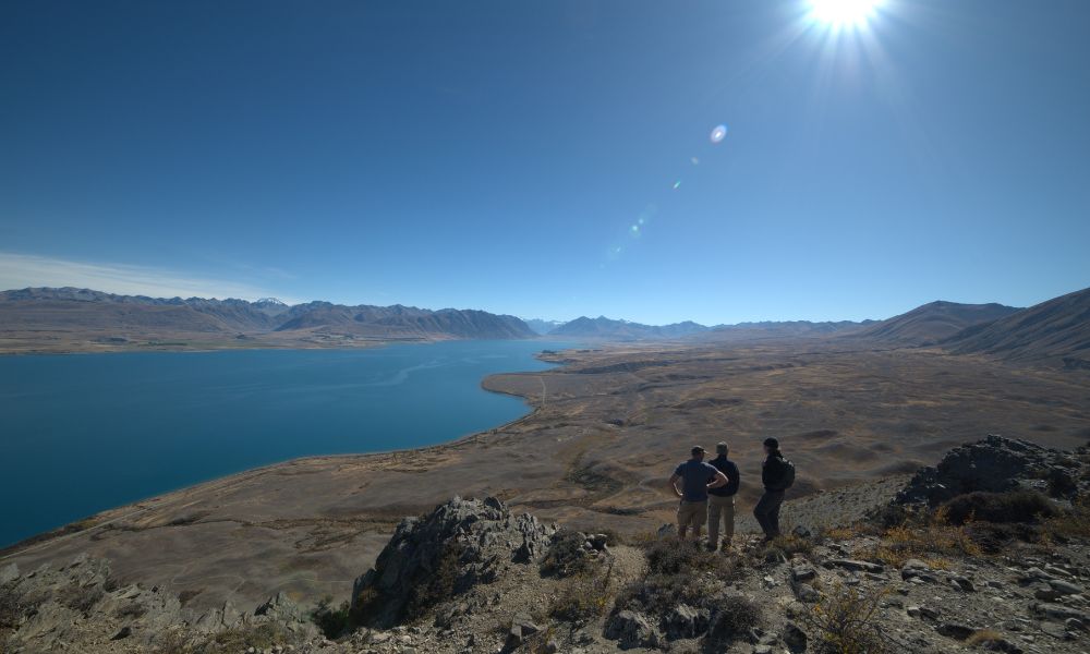 Mount Hay Guided Hike - 3 Hours 