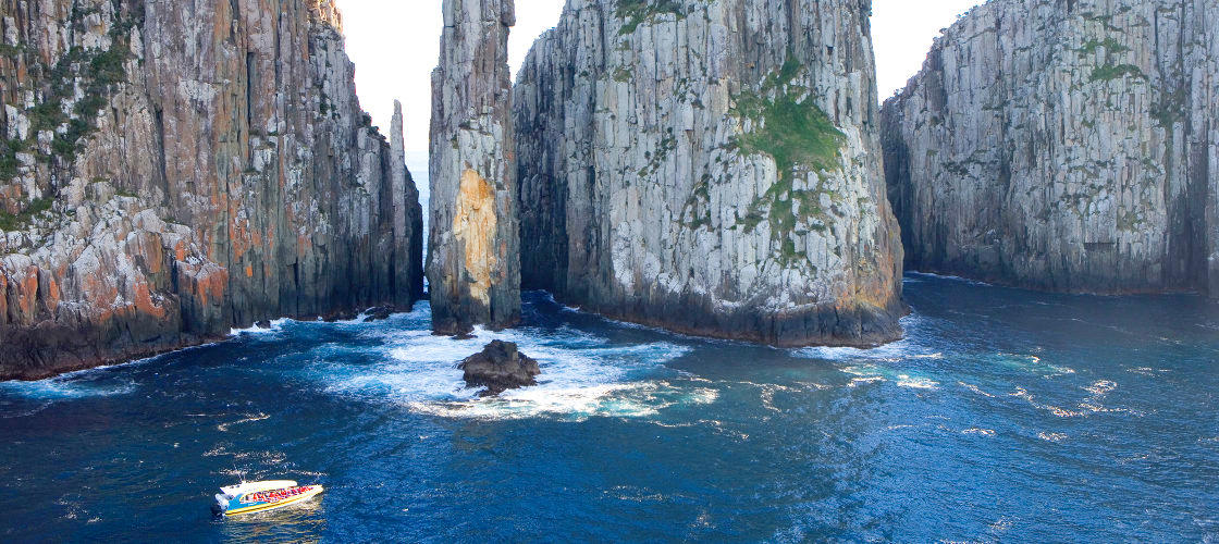 Tasman Island Cruise Day Tour from Hobart