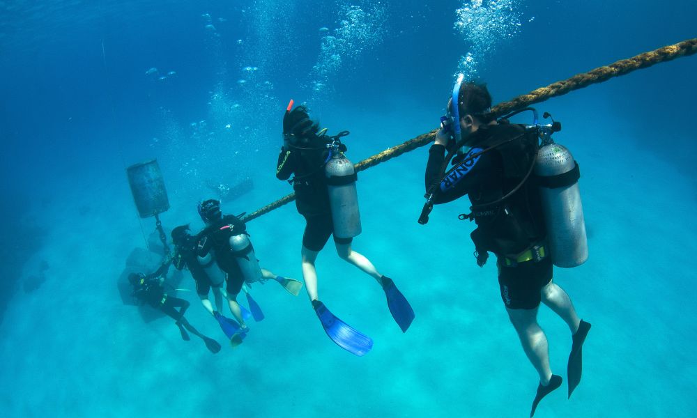 4 Day PADI Open Water Course