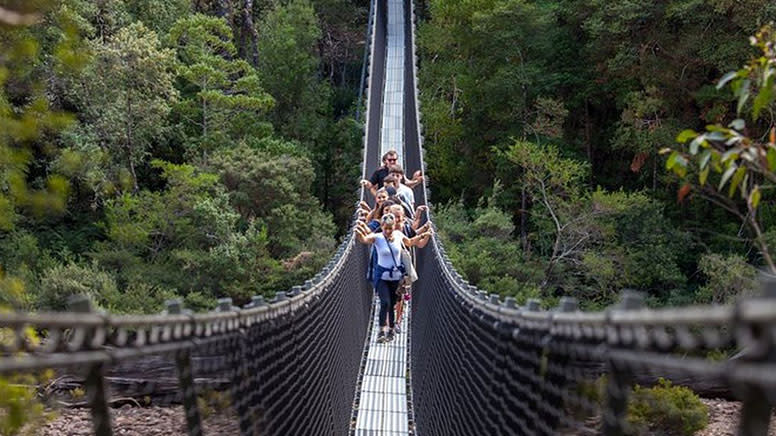 Tahune AirWalk General Entry