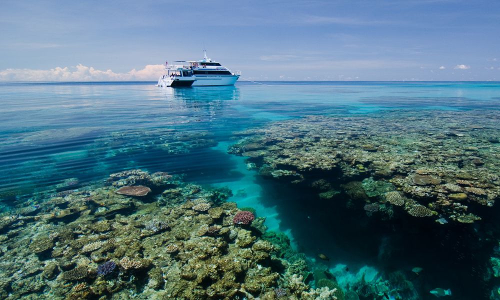 3 Day 2 Night Liveaboard Trip