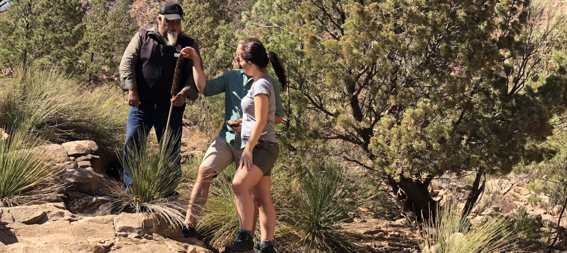 Flinders Ranges 4WD Half Day Aboriginal Cultural Tour