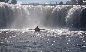 Haruru Falls Half Day Guided Tour