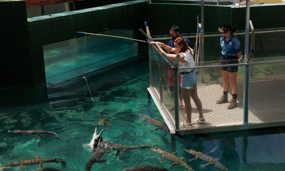 Darwin Crocosaurus Cove Entry Adrenaline