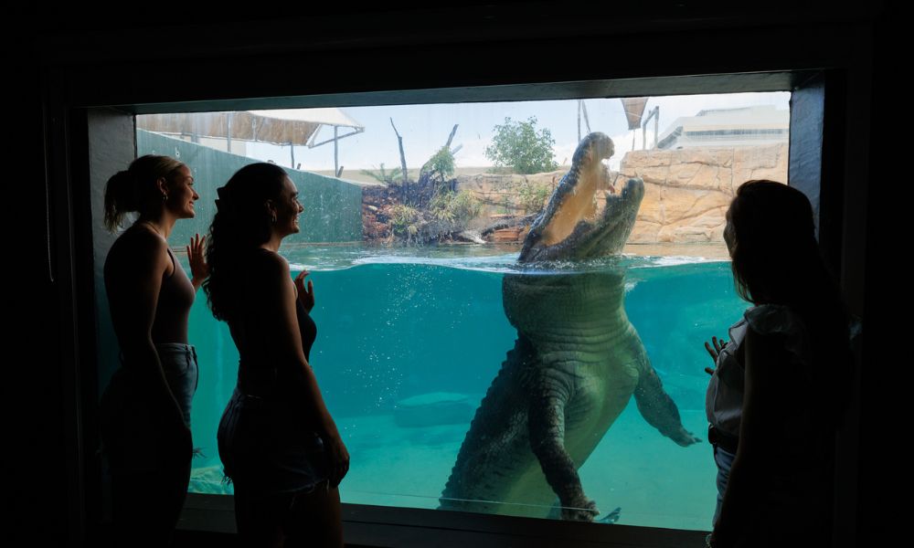 Crocosaurus Cove Discount Cage Of Death