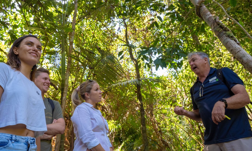 Daintree Rainforest and Mossman Gorge Luxury Tour