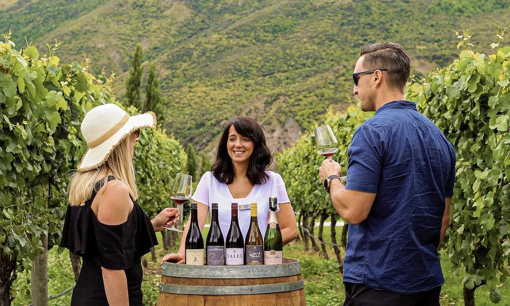 Full Day Gourmet Wine Tour ex Queenstown