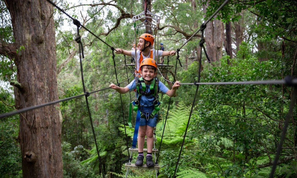 Illawarra Fly Zip Line Tour with Treetop Walk Entry