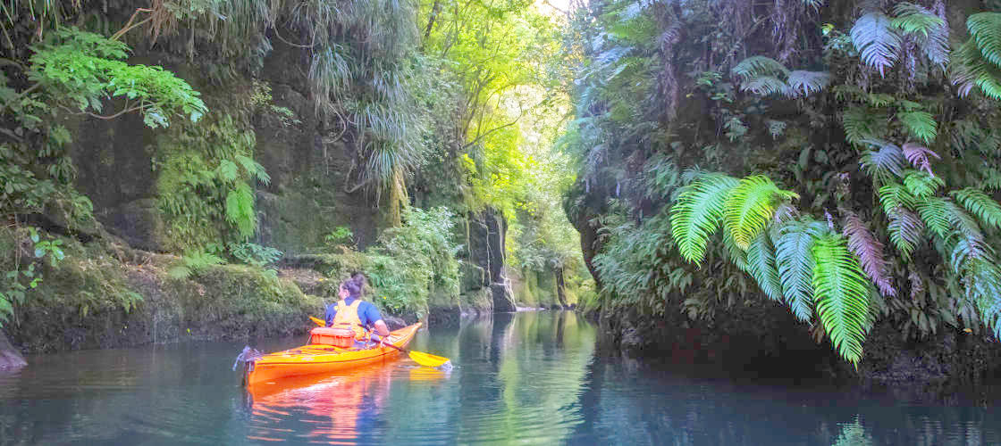 Tauranga Daytime Scenic Lake McLaren Kayak Tour