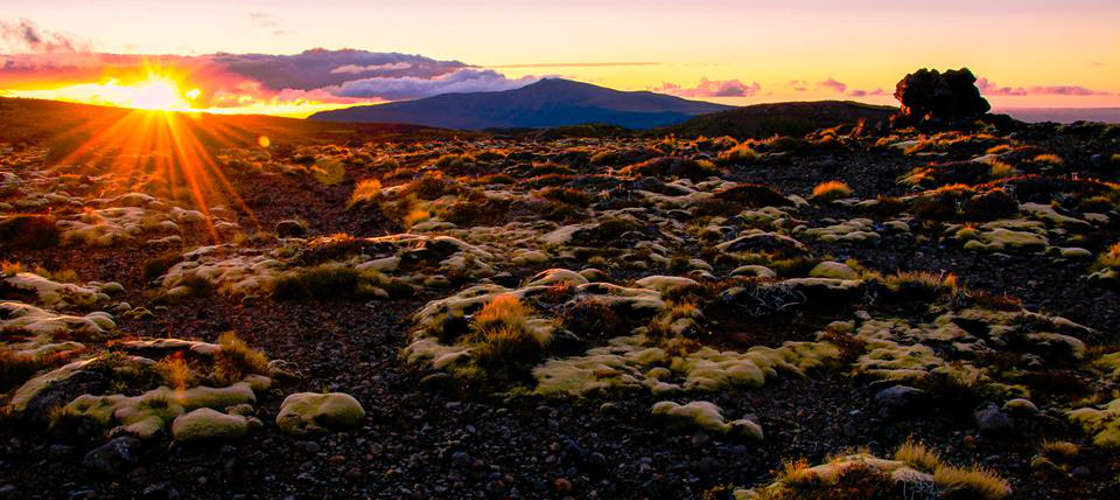 Guided Sunset Tongariro Walk - 2 Hour Sunset Guided Walk