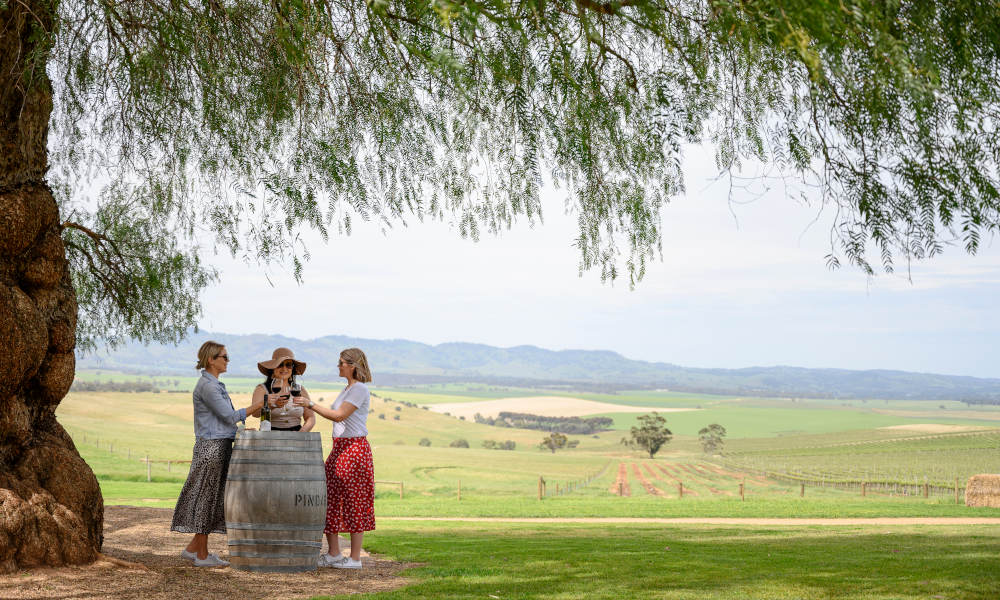 Barossa Food and Wine Experience