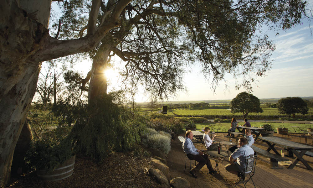 Barossa Valley Hop On Hop Off Tour