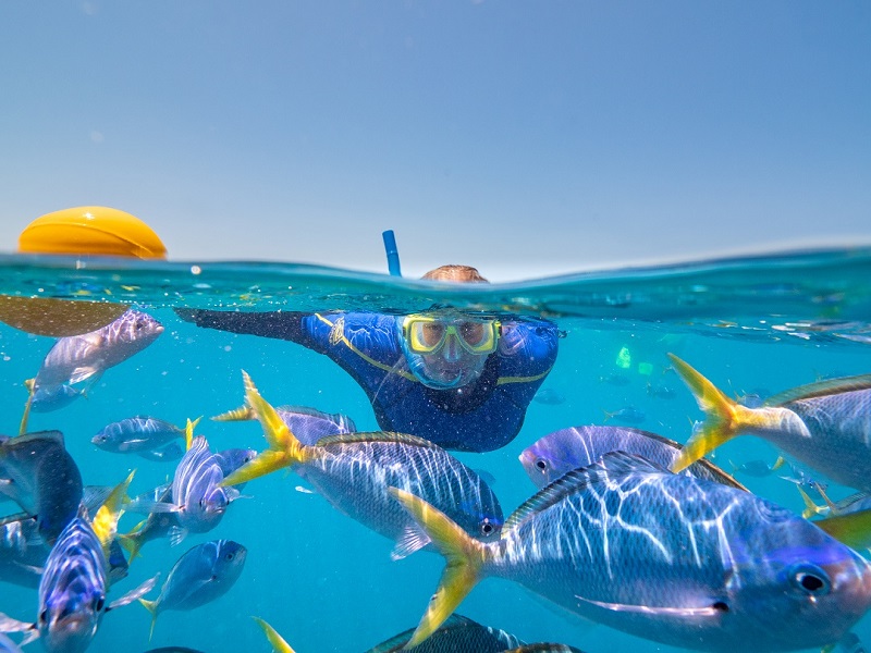 Great Barrier Reef Cruise to Hardy Reef Pontoon