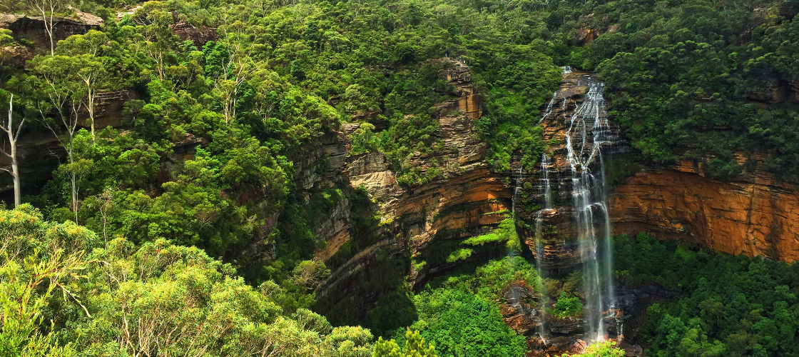 Blue Mountains Tour With Featherdale Wildlife Park Entry