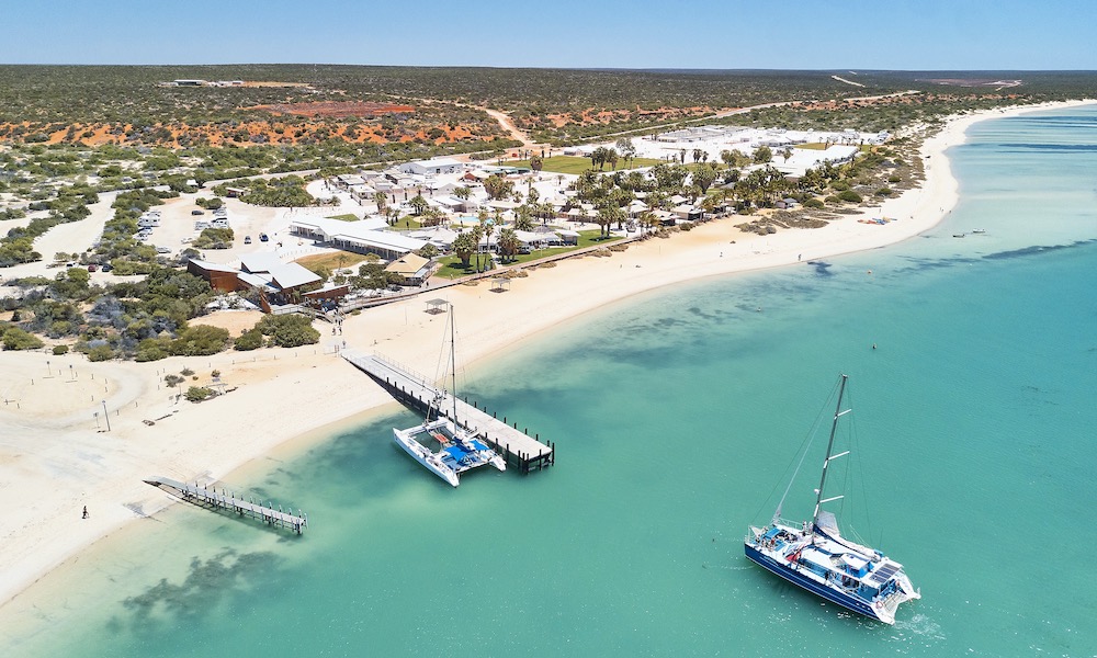 Scenic Flight From Kalbarri To Monkey Mia With A Dolphin Encounter