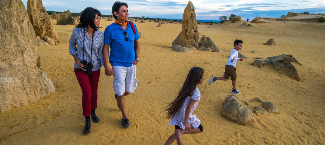 Pinnacles Sunset Dinner and Stargazing Tour From Perth