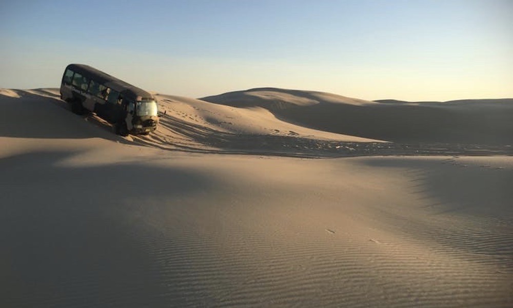 Port Stephens Sand Surfing Adventure