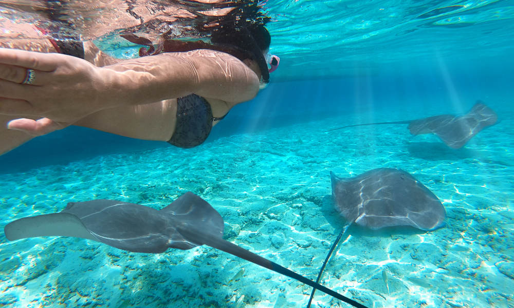 Cook Island Aquatic Reserve Snorkelling Experience
