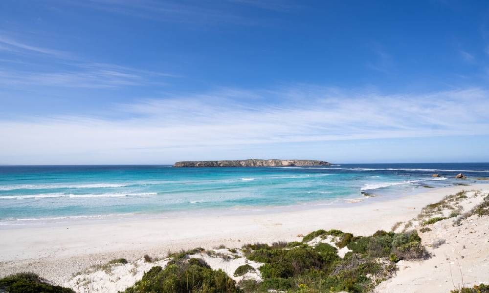 Coffin Bay Day Tour from Port Lincoln including Wine Tasting and Gourmet Lunch