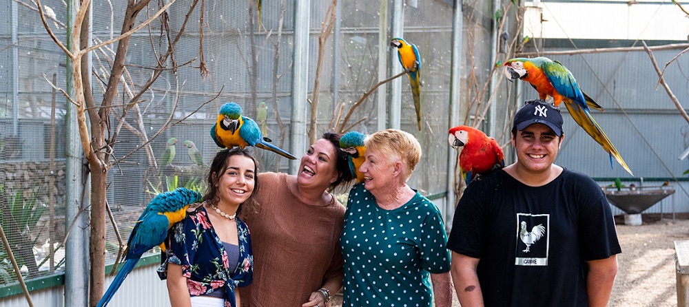 Maleny Botanic Gardens Aviary Tour