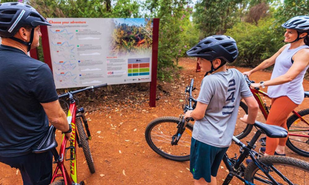 Full Day Mountain Biking on Munda Biddi Trail Book Now Adrenaline