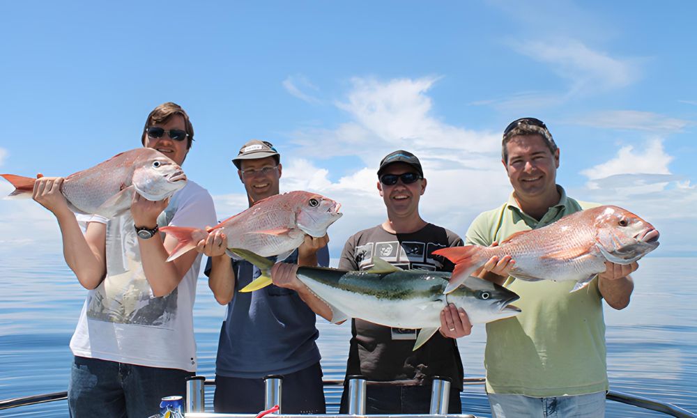 Waiheke Fishing Charter and Wine Tour