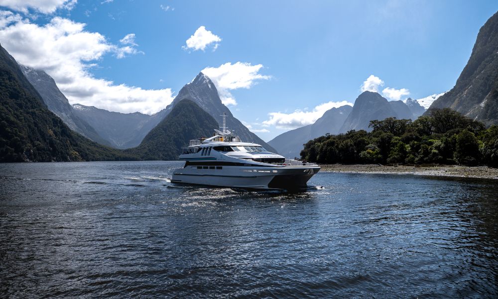 Pure Milford Gem Of The Sound Cruise - 11 am