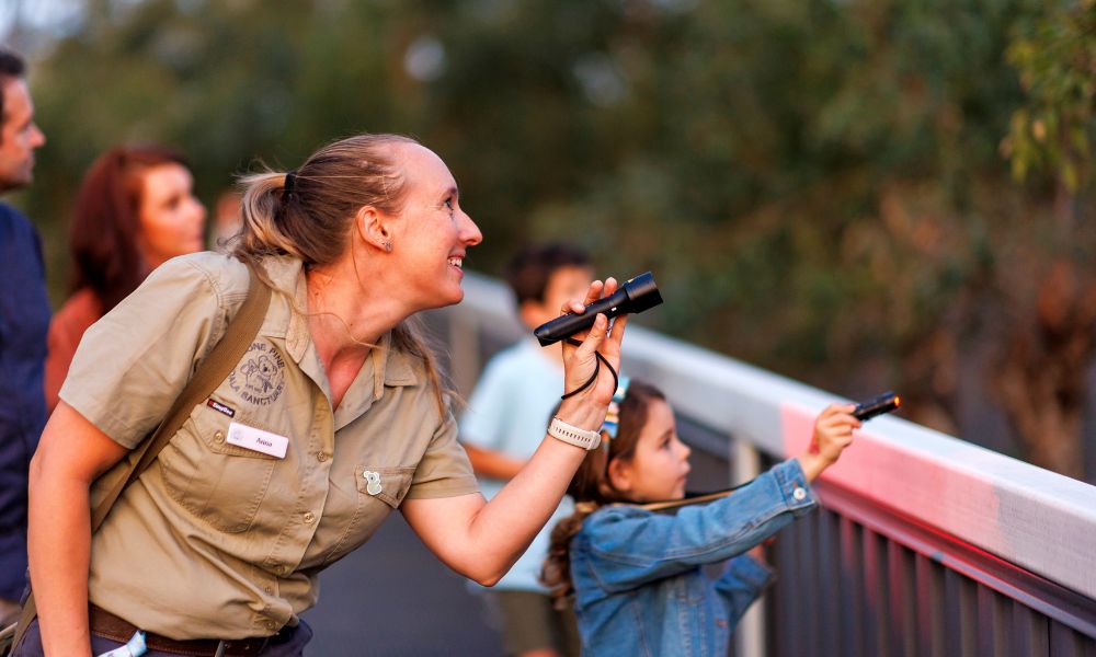 Lone Pine Koala Sanctuary Nocturnal Wildlife Night Tour