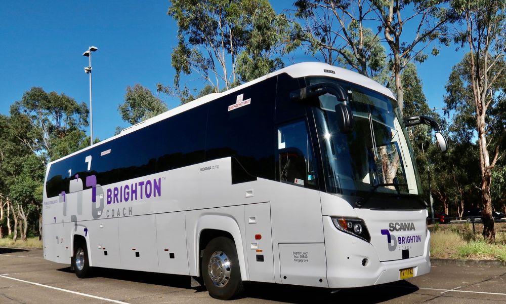 Port Stephens Express Day Tour From Sydney 