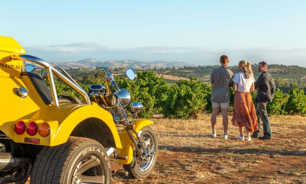 Barossa Food & Wine Trail by Trike