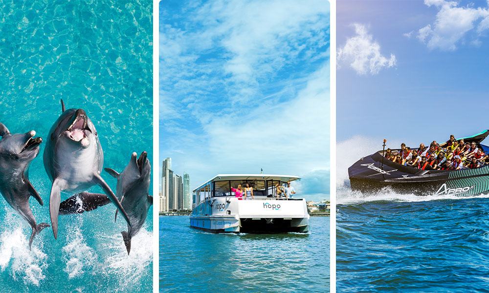 Hop On Hop Off All Day Pass - Arro Jet - Sea World Entry Combo Package