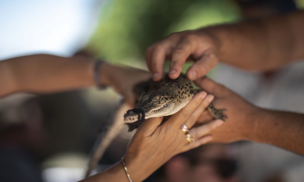 Broome Brewery, Museum & Croc Afternoon Adventure