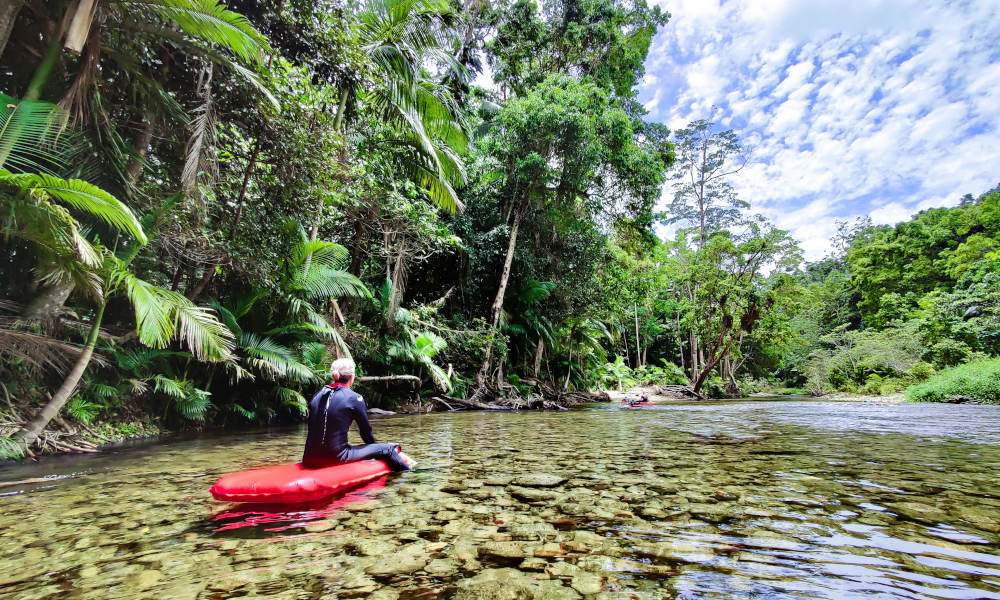 Mossman Gorge Adventure Day with River Drift Experience